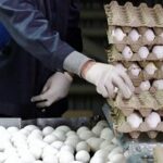 دومین تغییر قیمت تخم‌مرغ در ۸ روز/ قیمت‌های جدید اعلام شد