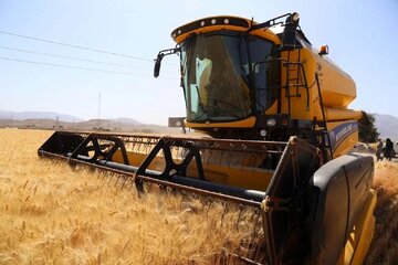 رشد ۲۸ درصدی خرید تضمینی گندم در خراسانشمالی