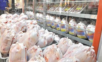 سیگنال جدید به بازار مرغ؛ منتظر گرانیهای جدید باشیم؟/ قیمت جدید مرغ اعلام شد