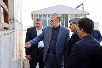 عملکرد سازمان مدیریت آرامستانهای شهرداری کرمان بررسی شد