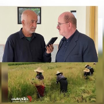 لاهوتی نماینده مردم شهرستان لنگرود: لغو ممنوعیت واردات برنج در فصل برداشت، تخلف قانونی است