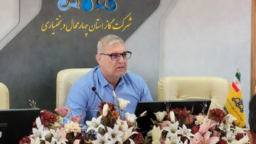 پایداری شبکه گاز در گرو همافزایی دستگاههای اجرایی است
