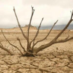 پشت پرده نقش هوش مصنوعی در مقابله با تغییرات اقلیمی