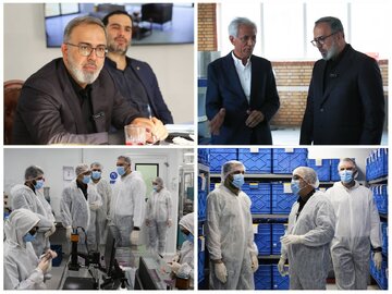 چالشهای بیننهادی؛ مانعی پیشروی تولید در منطقه ویژه اقتصادی پیام