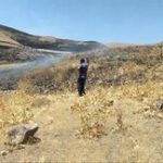 ۴۰هکتار از مزارع کوهین در آتش سوخت