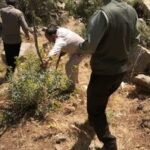 ۵ هکتار از اراضی ملی منطقه گردشگری کهمان از چنگ متصرفان خارج شد