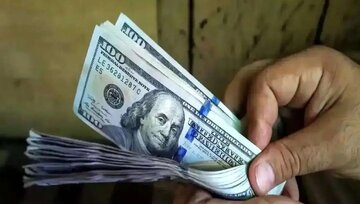 انتقاد از ارزپاشی اخیر برای کاهش قیمت دلار/ قبلا هم این کار را تجربه کرده اید و نتیجه اش را دیده اید