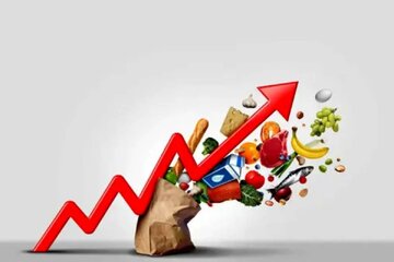 بالاتر رفتن تورم در روستاها نسبت به شهرها ،شکاف طبقاتی را شدیدتر می کند