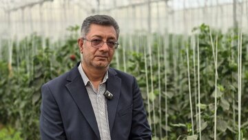 ببینید| خیز هلیلان برای تغییر سیمای کشاورزی/ پرونده بزرگترین گلخانه منطقه روی میز استاندار ایلام باز میشود