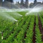 بهرهبرداری بیش از ۴۵طرح کشاورزی در قزوین