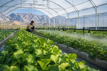 تخصیص ۵۴ میلیارد تومان تسهیلات کمبهره به زنجیرههای ارزش کشاورزی چهارمحال و بختیاری