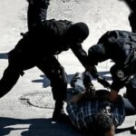 حصار پلیس فارس بر قاچاق و سرقت؛ از سارق زن‌پوش تا تریاک در نهال نخل