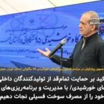حمایت همهجانبه از تولید پنل خورشیدی؛ کلید نجات از مصرف سوخت فسیلی