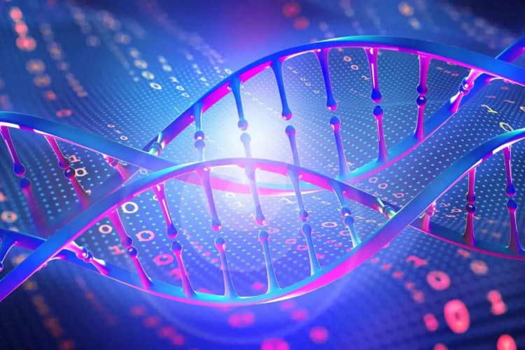 دانشمندان حافظه الکترونیکی مبتنی بر DNA ساختند؛ مصرف انرژی ۱۰۰ برابر کمتر