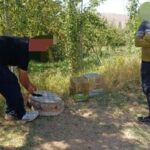 دستگیری متخلفان زیست‌محیطی در شهرستان بروجن