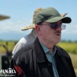 دیدار نماینده مردم و فرماندار لنگرود از برداشت برنج در یکی از روستاهای این شهر