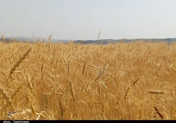 دیمکاری،راهبردی برای عبور از بحران آب فارس