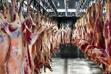 قیمت جدید گوشت قرمز امروز ۷ شهریور ۱۴۰۵/ ران گوساله و گوسفندی کیلویی چند شد؟ + جدول