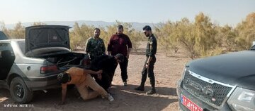 متهمان قطع و حمل چوب تاغ در جعفریه قم دستگیر شدند