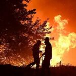مهار آتش‌سوزی در انجیرستان‌های پلنگان نی‌ریز/سهل‌انگاری۱.۳میلیارد تومان خسارت بر جای گذاشت