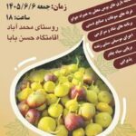 نخستین جشنواره گردشگری انجیر گرمسار برگزار می‌شود