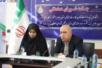 پیشنهاد مدیرکل کار ایلام برای کاهش بیکاری؛ اعزام نیروی ماهر به عراق و پایان دادن به استخدام‌های سفارشی