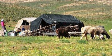 پیگیری برای رفع مشکلات عشایر فارس