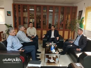 پیگیری زیرساختهای برق در رضوانشهر