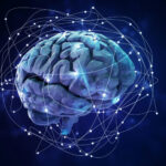 کشف پالس‌های پنهان مغز که ممکن است افکار را منسجم نگه دارند
