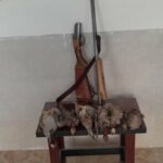 کشف پنج قبضه سلاح و ۹کبک وحشی شکارشده در سرچهان فارس
