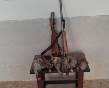 کشف پنج قبضه سلاح و ۹کبک وحشی شکارشده در سرچهان فارس