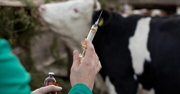 یک میلیون دُز واکسن برای مقابله با تببرفکی در زنجان