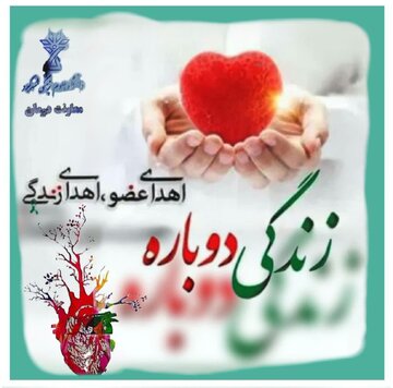 اهدای اعضای بدن مادر کوهرنگی به بیماران نیازمند