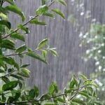 باران در راه خراسان‌شمالی؛ هشدار هواشناسی درباره احتمال سیلاب