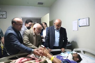 تأکید وزیر کار بر انتقال حسابهای بانکی پتروشیمیها به خوزستان
