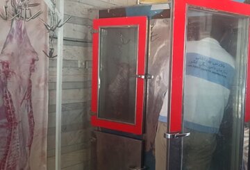 تشدید نظارتهای بهداشتی دامپزشکی بر رستورانهای کوهبنان و کیانشهر/ برخورد قاطع با تخلفات عرضه فرآوردههای خام دامی