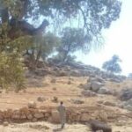 توقف ساخت‌وساز غیرمجاز دشت برم کازرون با دستور قضایی