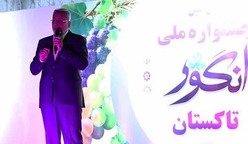 جشنواره ملی انگور در تاکستان آغاز شد