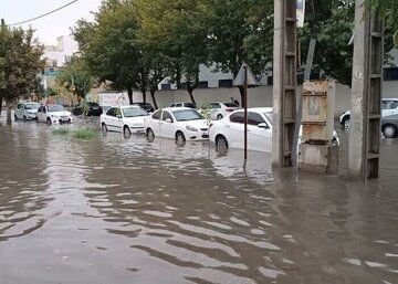 خسارت سیلاب به ۲۰۰ دکل مخابراتی مازندران/ تخریب بخش عمده ای از گلخانه های جویبار