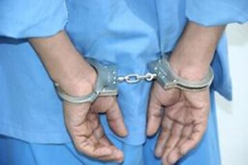 عامل آتشسوزی گلبابکان رستم فارس در بند قانون/بازپسگیری اراضی ملی