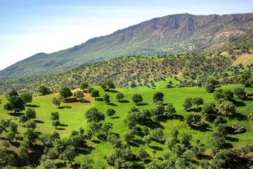پایش هوشمند عرصههای ملی فارس در سایه فناوری