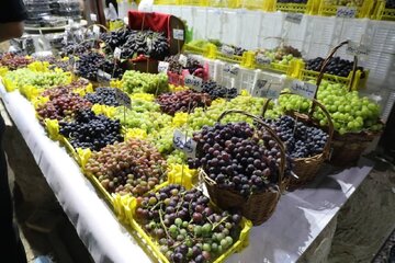 جشنواره انگور ارومیه در تقویم رویدادهای گردشگری ایران ثبت شد