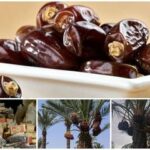 خرمای ارم در مسیر جهانی‌شدن؛لزوم عبور از خام‌فروشی و رونق صنایع تبدیلی