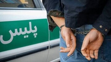 دستگیری کلاهبردار ۵۰۰میلیاردی در قزوین با وعده سرمایهگذاری در زمینه تولید و بستهبندی مواد غذایی