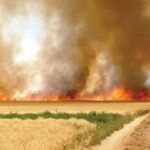 سلامت عمومی و هوای پاک؛ خط قرمز قاطع دستگاه قضایی/ بازداشت فوری متخلفان سوزاندن بقایای کشاورزی