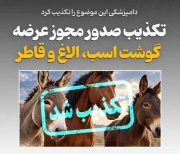 گوشت اسب و الاغ مجوز عرضه نگرفته است